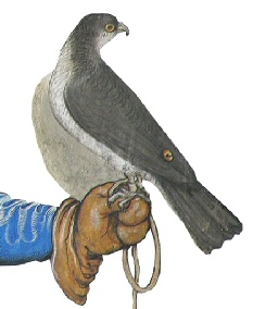 Jagd (Schloss Tratzberg, Foto: A. Prock)