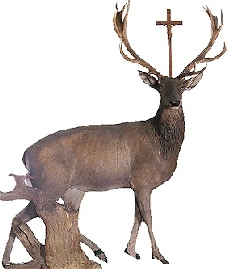 Jagd (Schloss Tratzberg, Foto: A. Prock)