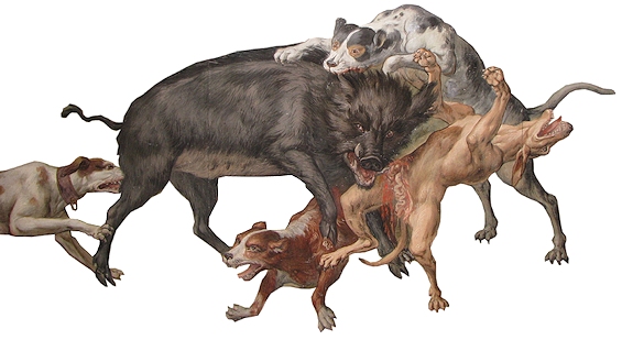 Jagd (Foto: A. Prock)